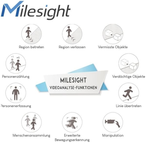 Milesight Video Analyse